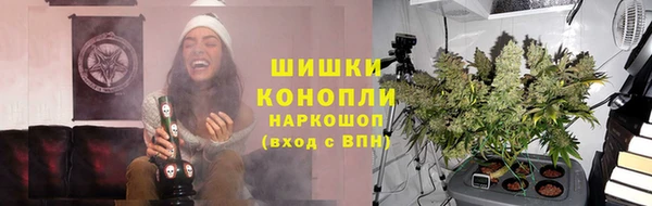 ПСИЛОЦИБИНОВЫЕ ГРИБЫ Няндома