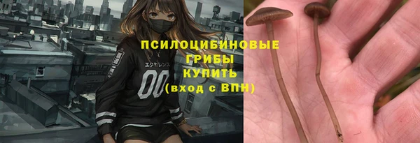 ПСИЛОЦИБИНОВЫЕ ГРИБЫ Няндома