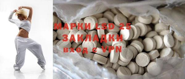 ПСИЛОЦИБИНОВЫЕ ГРИБЫ Няндома