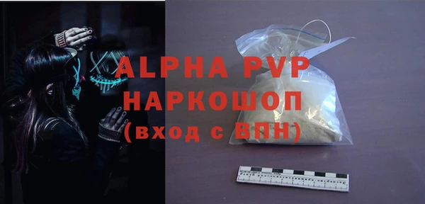 ПСИЛОЦИБИНОВЫЕ ГРИБЫ Няндома