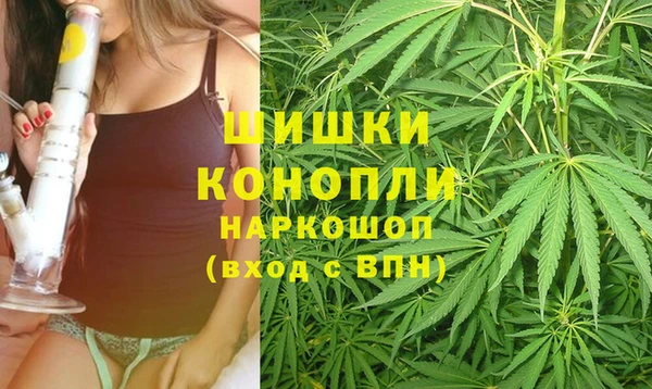 ECSTASY Гусь-Хрустальный